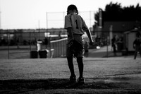IMG_0224